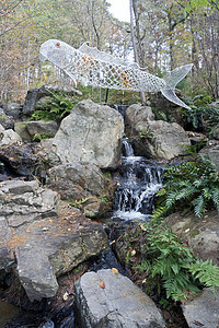 瀑布环境岩石径流树木森林绿色石头溪流公园叶子图片