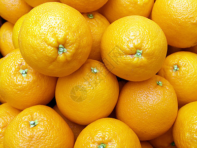 橙色盒子贸易市场植物团体情调柜台进口营养销售图片