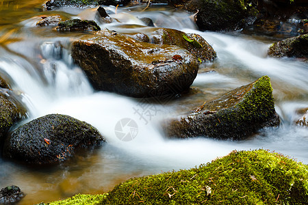 秋天在小山河瀑布的一棵林木中坠落流动岩石荒野运动河道溪流洪水绿色瀑布沉思图片