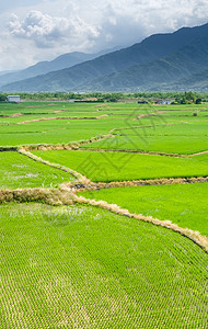 梯度字段的景观场地农村灌溉季节农业村庄土地传统阳台种植园图片