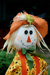 稻草人天空娃娃稻草葫芦橙子玩具边界干草叶子微笑图片