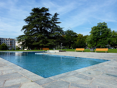 游泳池运动反思枞树游泳锻炼水池娱乐假期建筑蓝色图片