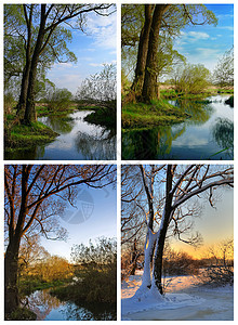 四个季节环境场景孤独衬套农村树叶天空分支机构木头蓝色图片