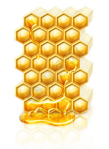 蜜蜂蜂窝荒野花蜜农业六边形食物蜂蜜角落野生动物流动黄色图片