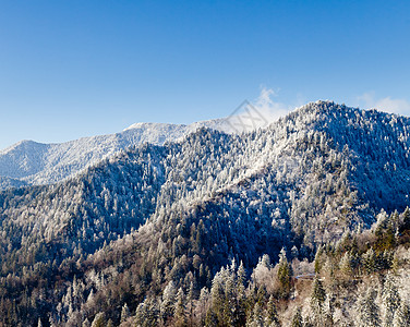 白雪中的山 烟雾中的雪树木山峰乡村天空季节公园场景蓝色磨砂山脉图片