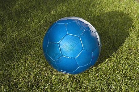 在草地上紧贴蓝皮足球背景图片