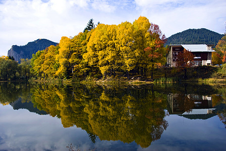 保加利亚秋天绿色环境森林风景天空支撑树木镜子叶子远景图片
