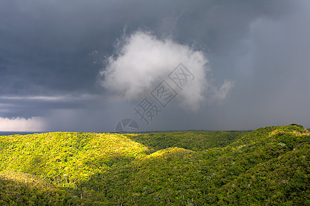 绿色热带河谷 天空有云丘陵天气森林旅行场地植物群假期风暴全景树木图片