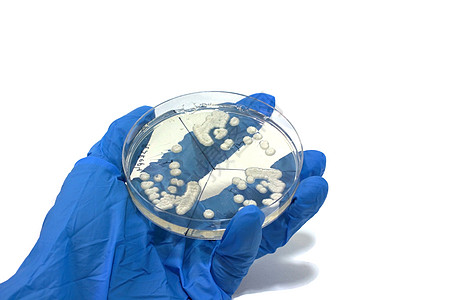 微生物技术生产抗生素遗传学卫生保健生活科学菌类盘子图片