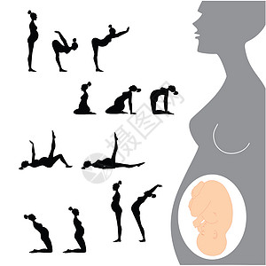 怀孕妇女体操瑜伽插图图片