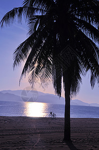 海滩的风景热带海岸线日落海岸场景棕榈自行车环境支撑海洋图片