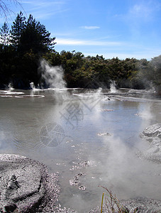 地热活动 新西兰罗托鲁阿图片