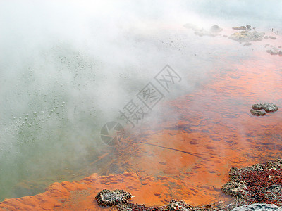 Waiotapu 温热保护站香槟池地热活动图片