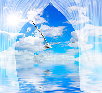 海鸥水和太阳穿透窗帘背景图片