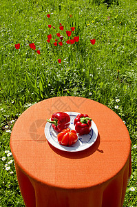 红辣椒和番茄 健康食物图片