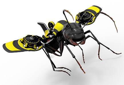 黄蜂飞行机制工人Ant图片