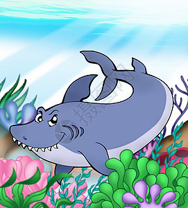 大蓝鲨鱼水下图片