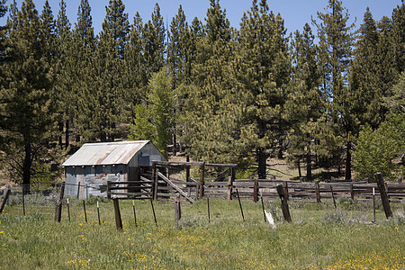 在草原上的旧小屋生活小木屋房子旅游假期木材远足目的地场景国家图片