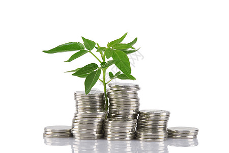 从硬币种植的绿色植物储蓄银行业生长兴趣库存帮助种子货币活力金子图片