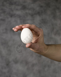 手拿鸡蛋向灰色背景灰阶皮肤手掌男人食品白色拇指手指食物展示图片