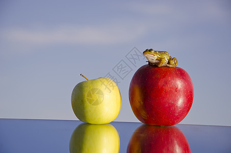 镜子和绿青蛙上两个苹果图片