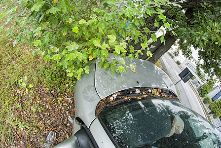 汽车保险杠汽车对抗一棵树 意大利损害金属灾难保险机械活动警察垃圾碰撞引擎背景