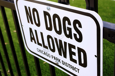 不允许养狗红色动物艺术犬类入口危险注意力插图小狗民众图片