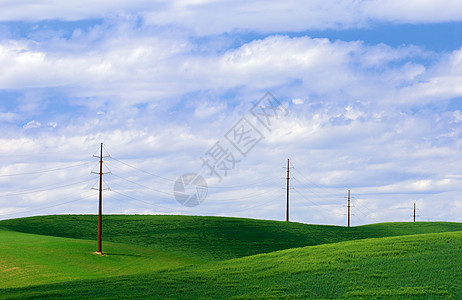 美国华盛顿惠特曼州惠特曼县电线 云和小麦图片