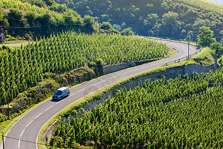 法国罗昂阿尔卑斯 科特罗蒂农业旅行公路葡萄农村藤蔓葡萄园植物外观汽车图片