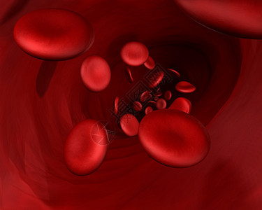 血管子血清生活宏观内窥镜细胞静脉保健癌症流动图片