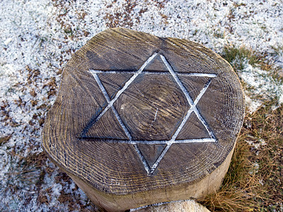 大卫之星雕刻在木丛中 - 犹太教图片