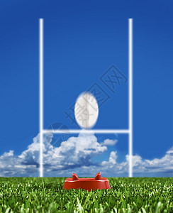 橄榄球踢到显示运动的柱子游戏杯子比赛邮政冠军竞赛世界胜利天空草地图片
