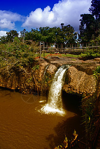 澳大利亚帕罗内拉公园旅行树木草地荒野小路公园跑步叶子场景溪流图片