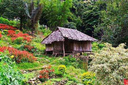 Thia 山区部落风格小屋爬坡公园植物热带国家花园文化建筑房子旅行图片