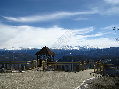 阿尔布尔木头植物群岩石植被风景登山冰川文件斜坡山丘图片