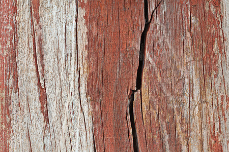 旧的碎木纹理生长破烂戒指木材日志同心橡木光束墙纸材料图片
