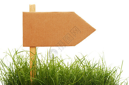 在白色背景上与草隔离的纸板牌标志黄色绿色村庄木头广告牌路标路牌空白陈述信号图片