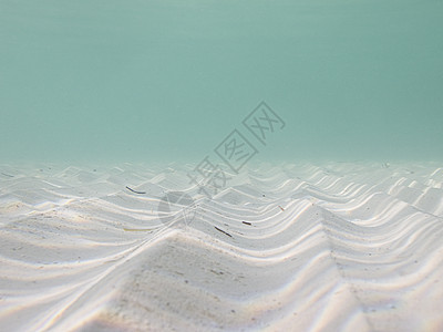 海底深处海景海滩盐水涟漪波浪海水海洋地面太阳图片