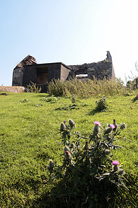 废弃的老旧爱尔兰小屋废墟图片
