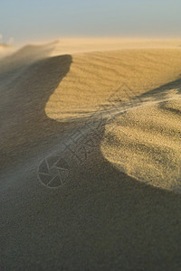 沙丘沙质毛刺棕色色调沙漠背景图片