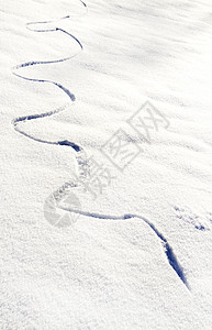 蛇山雪图片