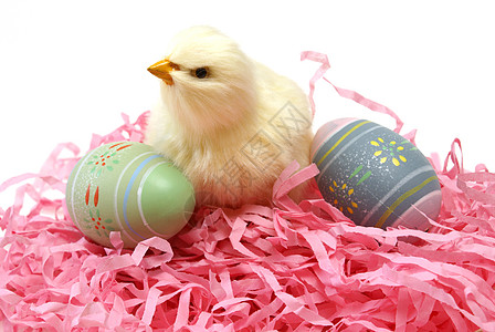 复活节小鸡和鸡蛋碎片婴儿庆典假期黄色季节白色绿色柳条宗教图片