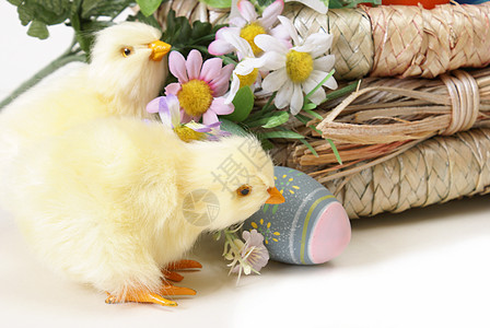 复活节小鸡白色黄色季节假期庆典柳条篮子宗教婴儿绿色图片