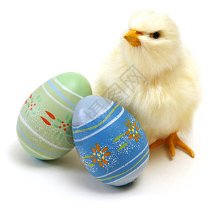 复活节小鸡和鸡蛋黄色白色绿色假期婴儿季节宗教庆典高清图片