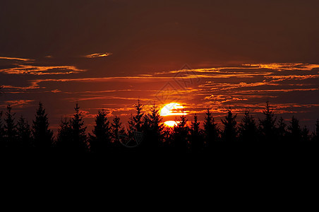 日落景观晚霞极光天空太阳红色森林太阳光夕阳红天背景图片