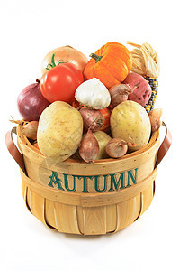 秋天蔬菜篮子图片