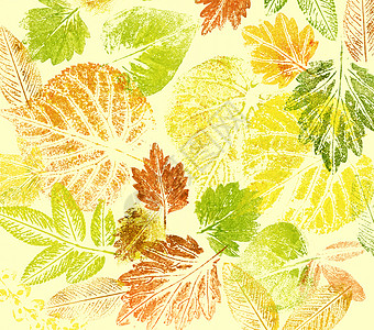 摘要背景 水彩 叶子染料艺术植物学克力橙子植物木头绘画装饰品粮食图片