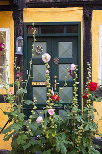 入口门计时器花朵结构住宅黄色图片