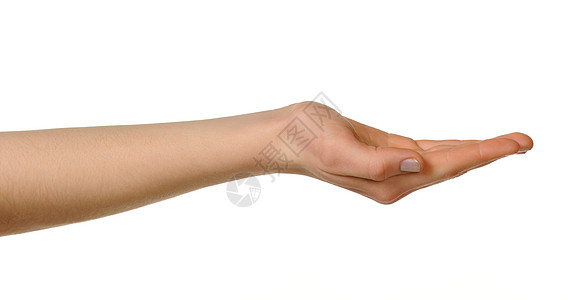 女性手棕榈身体手指安全工作室白色问候语图片