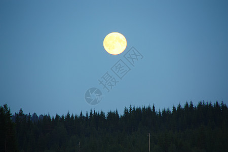 诺德马尔卡满月的景象水线森林木头波纹巨魔土地季节风景爬坡支撑图片